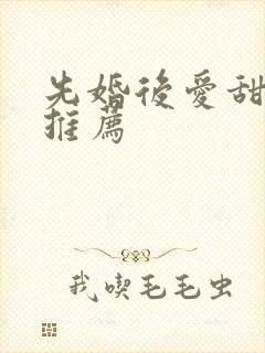 先婚后爱甜宠文推荐