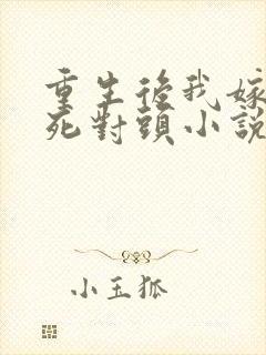 重生后我嫁给了死对头小说免费下载