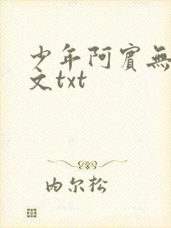 少年阿宾无删全文txt封面