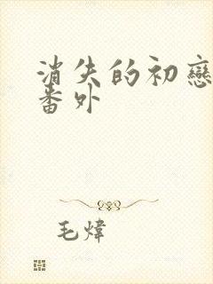 消失的初恋漫画番外