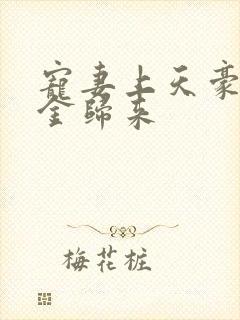 宠妻上天豪门千金归来