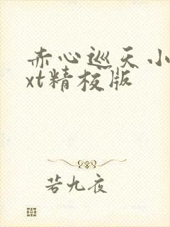 赤心巡天小说txt精校版