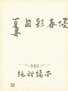 夏目彩春侵犯人妻