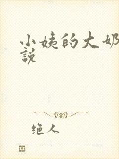 小姨的大奶子小说