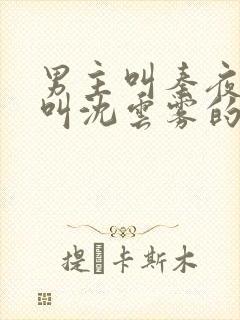 男主叫秦夜女主叫沈云雾的小说