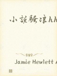 小说骚浪hhh