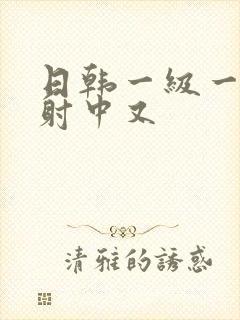 日韩一级一片内射中又