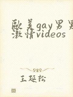 欧美gay男男激情videos