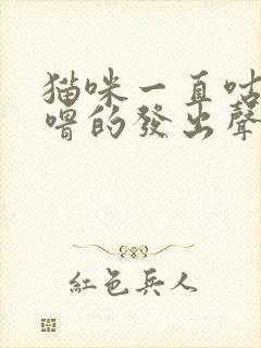 猫咪一直咕噜咕噜的发出声音是怎么了