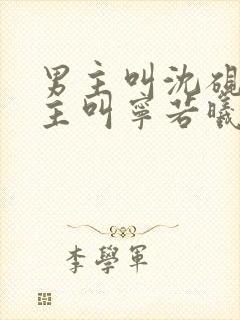 男主叫沈砚舟女主叫宁若曦的小说