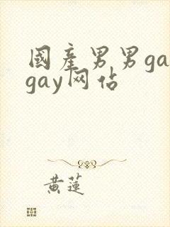 国产男男gaygay网站