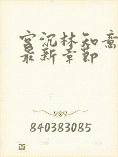 宫沉林知意小说最新章节