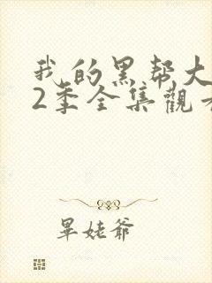 我的黑帮大佬第2季全集观看封面