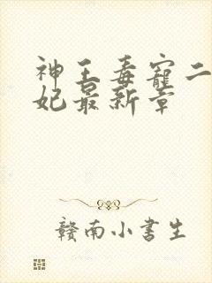 神王毒宠二嫁王妃最新章封面