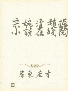 宋婉清赵振国的小说在线阅读