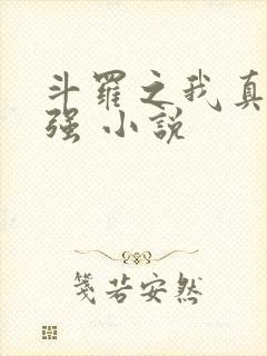 斗罗之我真的不强 小说