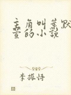 主角叫叶默和林萱的小说