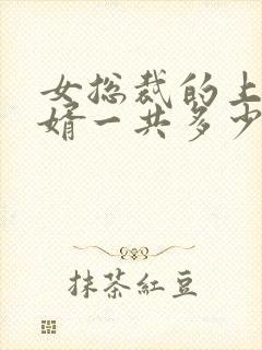 女总裁的上门女婿一共多少章封面