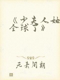 《少夫人她惊艳全球了》封面