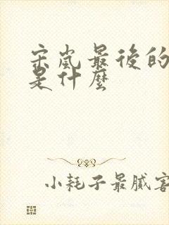 宋岚最后的结局是什么封面