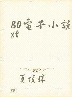 80电子小说txt