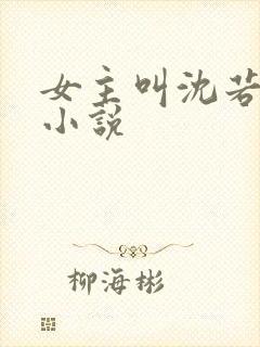 女主叫沈若初的小说