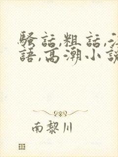 骚话,粗话,淫语,高潮小说封面