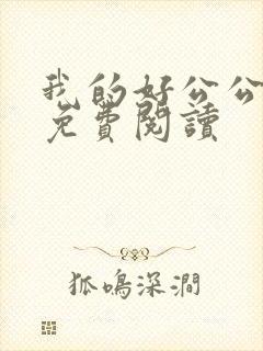 我的好公公小说免费阅读