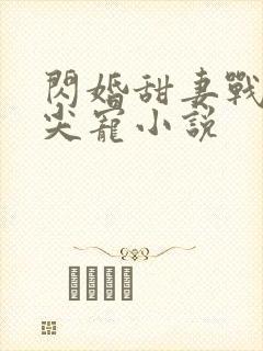 闪婚甜妻战少心尖宠小说