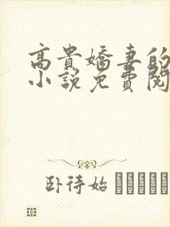 高贵娇妻的秘密小说免费阅读