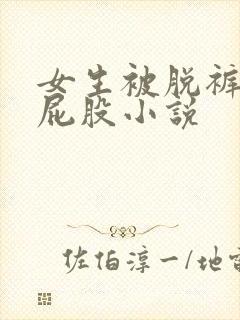 女生被脱裤子打屁股小说封面