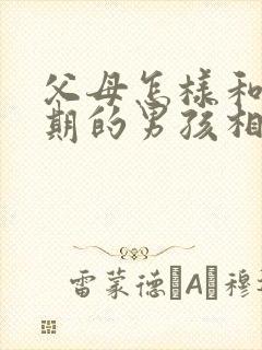 父母怎样和叛逆期的男孩相处