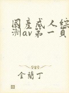 国产成人综合亚洲av第一页