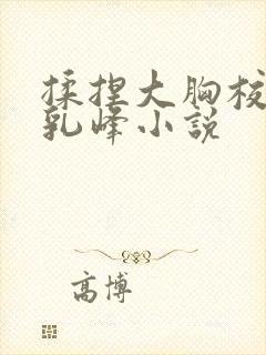 揉捏大胸校花的乳峰小说