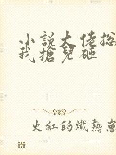 小说大佬总想跟我抢儿砸