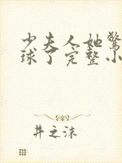 少夫人她惊艳全球了完整小说