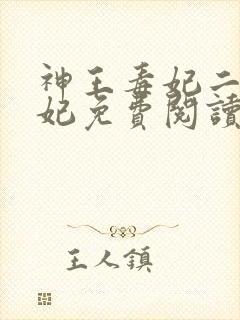 神王毒妃二嫁王妃免费阅读全文