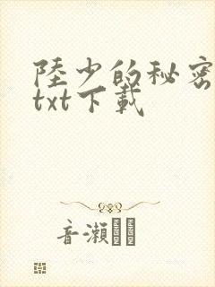 陆少的秘密恋人txt下载