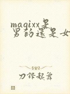 magixx是男的还是女的封面