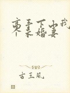 高手下山我有九个未婚妻