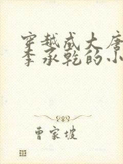 穿越成大唐太子李承乾的小说封面