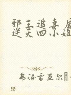 邪王追妻 废材逆天四小姐