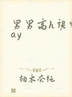 男男高h视频gay