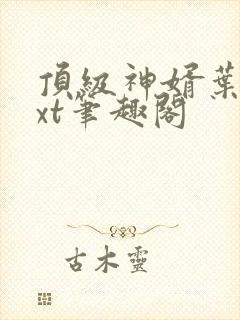 顶级神婿叶辰txt笔趣阁