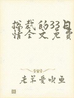 总裁的33日索情全文免费阅读封面