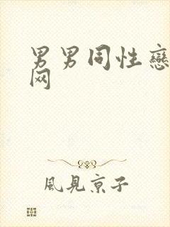 男男同性恋视频网封面