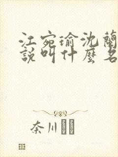 江宛瑜沈兰舟小说叫什么名字