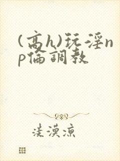 (高h)玩淫np伦调教