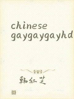 chinesegaygaygayhd