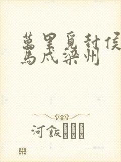 万里觅封侯,匹马戍梁州